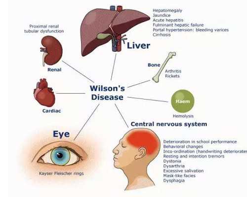 内江代孕-内江代孕黑市范围-内江有想做代孕的吗