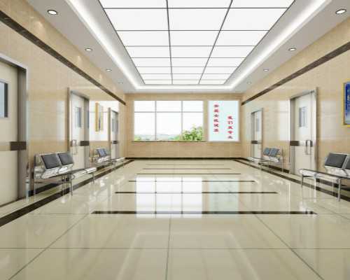 深圳代孕的条件_深圳专业代孕多少钱_孕妇应该如何吃黄花菜？