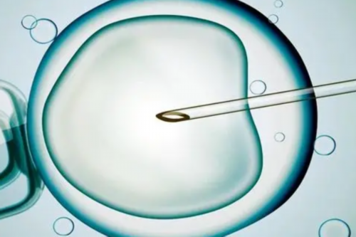 鹤壁代孕_鹤壁有靠谱的供卵试管医院吗_判定分娩