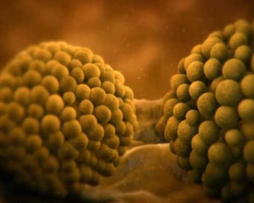 深圳代孕开出生证明-深圳代孕容易出现什么问题【代生孩子一条龙服务，解决