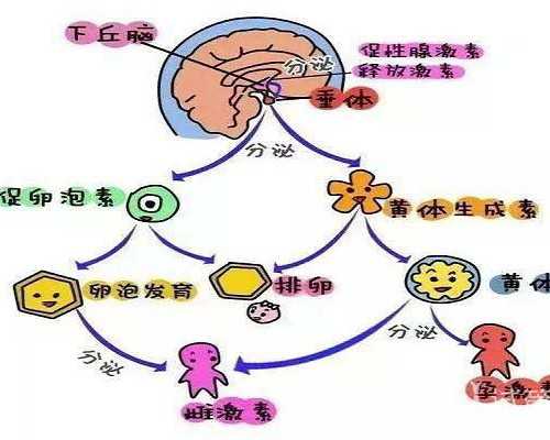 hcg500多代孕几周了
