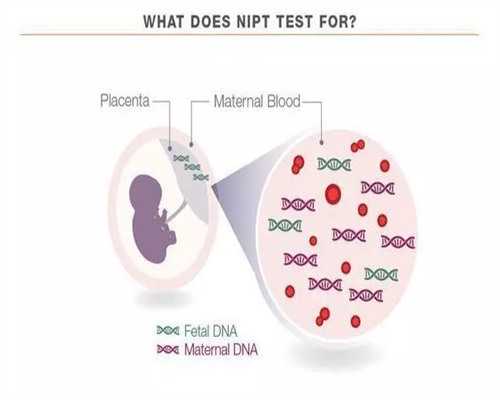 月经推迟20天了怎么调理