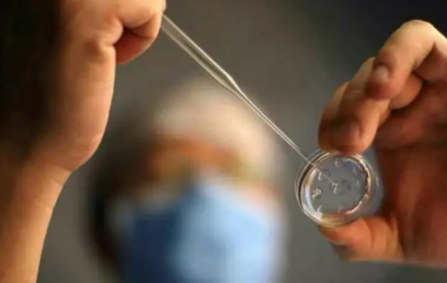 深圳单身女性可以做试管吗,未婚女子可以做试管婴儿吗