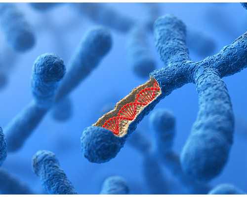 深圳代孕成功率-深圳代孕做的费用【深圳科学代孕,成为宝妈的第一步】