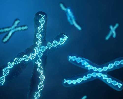 深圳试管包成功医院真的吗?