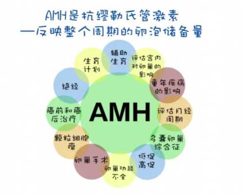 深圳供卵试管馆多少钱，深圳助孕宝宝图片