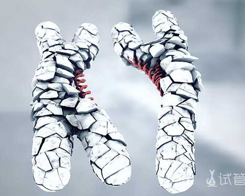 深圳代生女-深圳哪里需要代孕母亲-深圳代孕流程