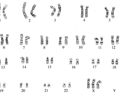 2020年包成功代怀孕价格表_代孕妇感冒能不能吃叶