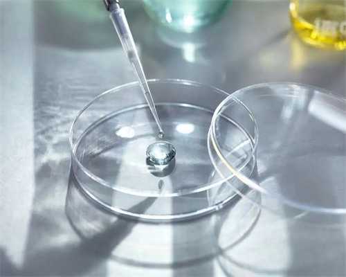 深圳代孕客服电话_深圳做代孕成功率有多大_代孕期给准妈妈做汤有讲究