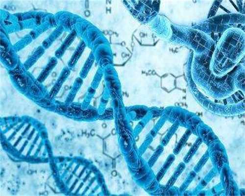 深圳代生女_深圳哪里有代孕【深圳专业代孕，让每个家庭放心】