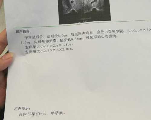 济南供卵试管供卵试管官网，输卵管粘连供卵试管需要满足什么条件