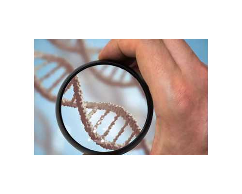 排卵期同房后单身做试管征兆是什么医生回答