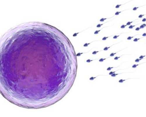 抗hcg抗体检查阳性怎么治疗，抗hCG抗体检查报告怎么看