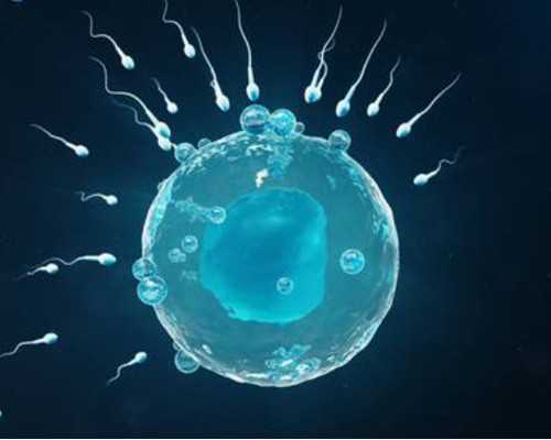 深圳代怀宝宝-深圳代怀宝宝-深圳供卵代生宝宝