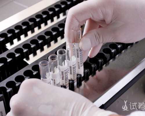 深圳代妈_深圳要找代孕公司_深圳在哪找代孕志愿者