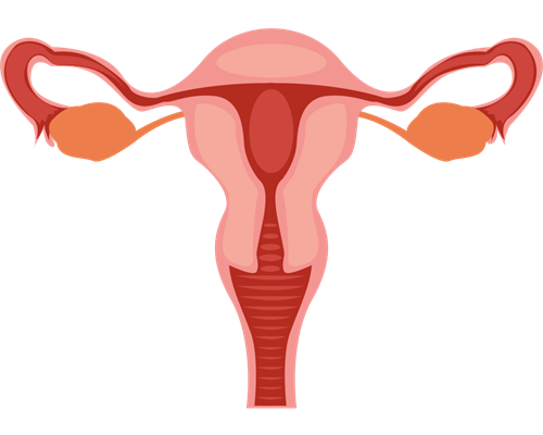 深圳试管代孕-深圳代孕多少钱【深圳代孕新生,