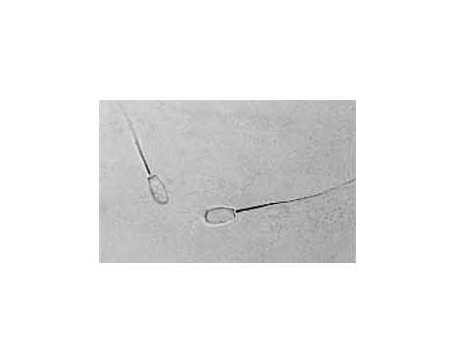 定了！副中心这家三甲综合医院本月18日正式开诊！日门诊量可达4000人次