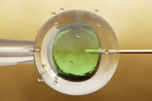 东莞找个代生，东莞备孕生育医院哪个好