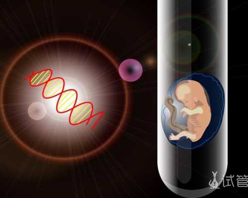 正规代怀公司_深圳代生【安全代孕创造美好生活。】