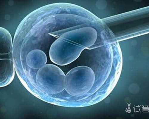 深圳代生小孩费用-备孕女性日常饮食需要多吃哪