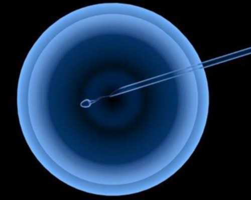 深圳供卵价格表,供卵助孕机构