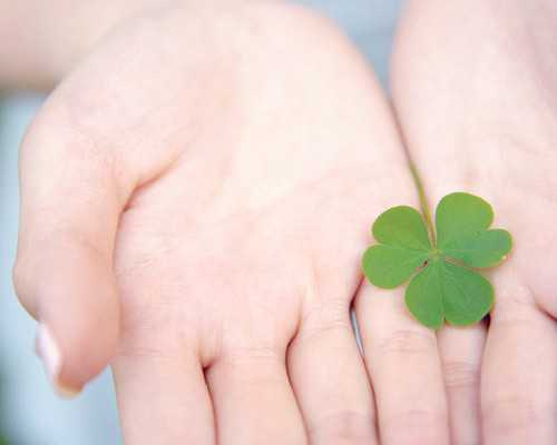 深圳代生孩子价格_深圳捐卵代孕成功率_怀孕初期医生让做阴超吗