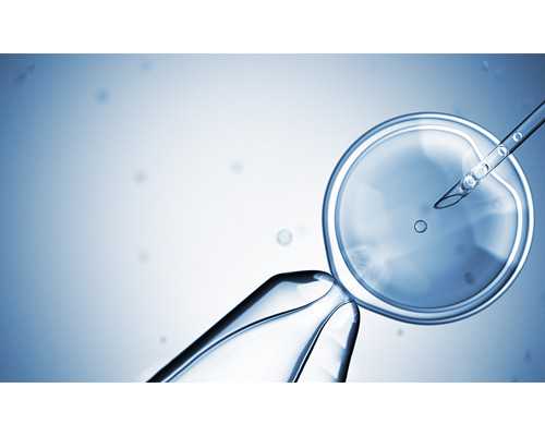 三代供卵自怀选性别多少钱,【供卵选择性别多少钱】等了三年，希望中间一切