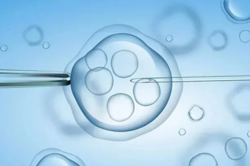 深圳代生热线,2026在深圳大学第一附属医院做三代试管婴儿流程是怎样的？附三