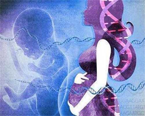 深圳代孕-深圳可以找人代孕吗-孕早期吃了驴肉怎么办