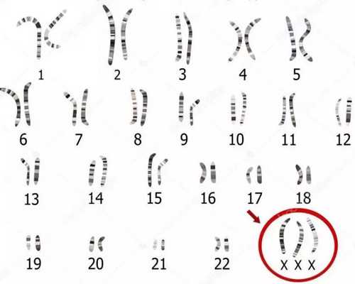 深圳代生儿子-深圳代孕专家-7岁男孩吃荔枝晕倒, 究竟是怎么回事- 孕妇可以吃