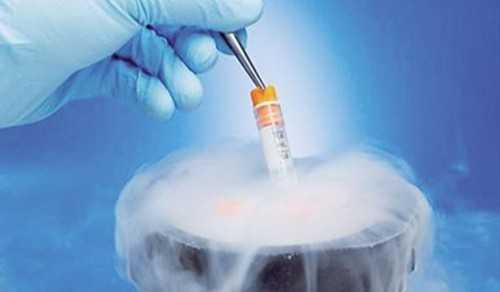 代孕如何上户口，试管婴儿花费明细表，俄罗斯