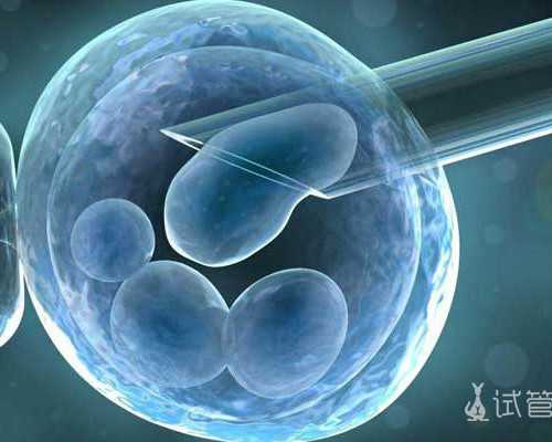 找代孕的人多吗,脓精症与不育症有何关联 西医方