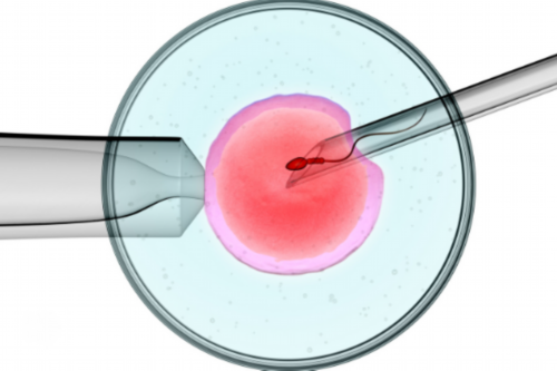 深圳代孕-深圳找代孕的论坛-深圳怎么能找到代孕机构