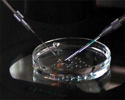 高龄供卵怀孕活产率（供卵怀孕后一定要卧床）