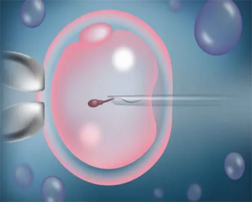 深圳代怀孩子价格_深圳代生【深圳专业代孕圆您求子心愿。】