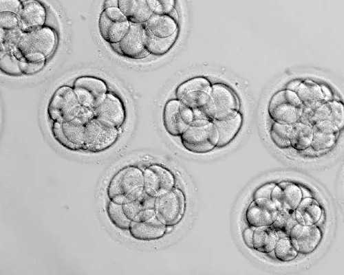深圳代孕母亲-深圳代孕做的费用-小偷上门家长应该如何教孩子应急