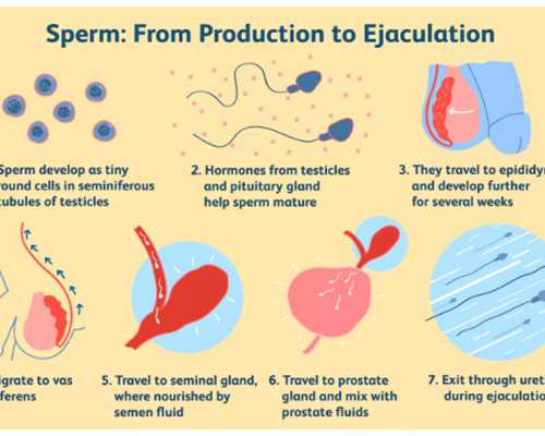 苏州供卵试管多少钱，供卵试管机构成功多少钱