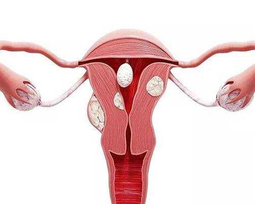 供卵试管市场调查，胚胎碎片多是什么原因？