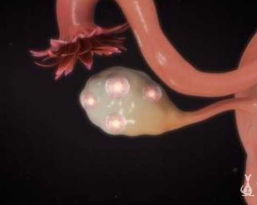 完达山奶粉真假怎么分辨？分辨完达山奶粉真假的办法？