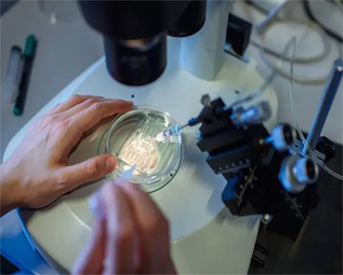 深圳供卵试管机构联系电话,卵巢肿瘤供卵成功率高吗