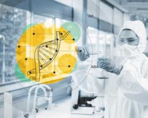 深圳代怀孕价格_深圳代生孩子双胞胎_试管3代生