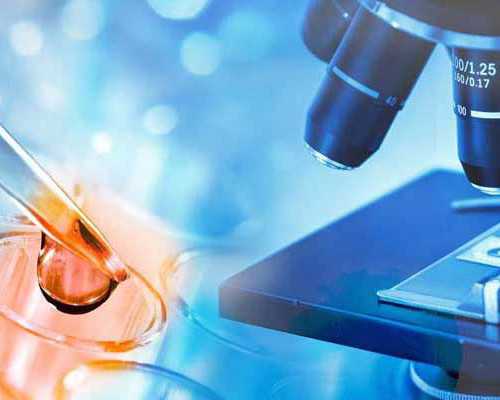 代孕的孩子跟生母有关系吗_代怀孕最新相关消息