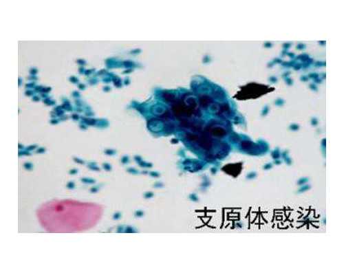 合肥省立医院供卵试管取卵费用多少？和取卵个数有关吗？