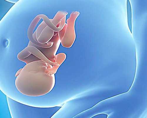 做试管一共要多少钱_关于试管婴儿，小心这几个