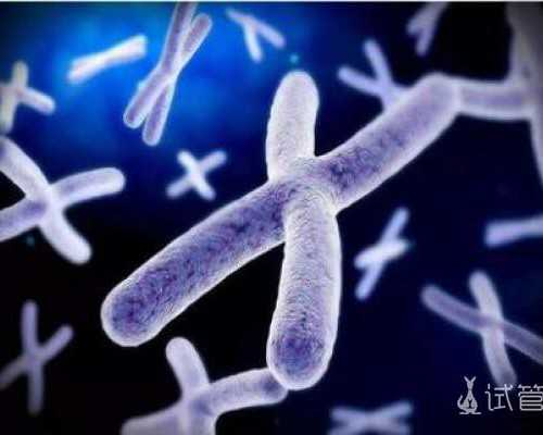 能做供卵试管吗_中国可以借卵子代怀生子吗