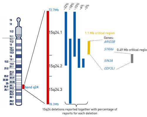 成都借腹生子违法吗,未婚生子违法吗 你不知道的法律线