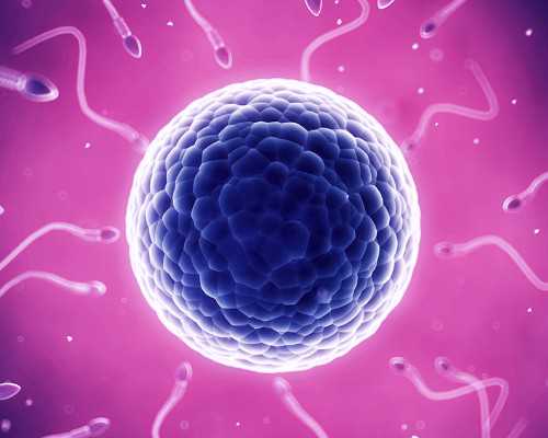 泰国第三代供卵试管成功率有多高