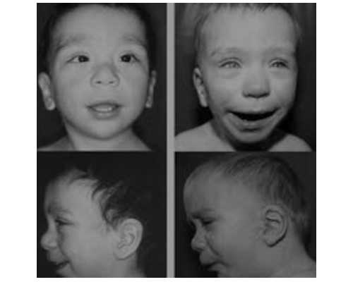 56岁用供卵试管成功率,辽宁省计划生育科学研究院供卵试管成功率怎么样?