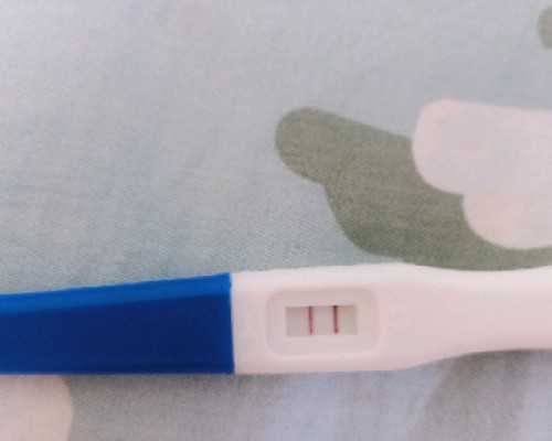 代生孩子的价格亲贝供卵靠谱吗