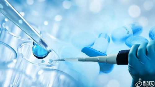 深圳代孕_深圳做代孕的多少钱_孕6周胎儿生长发育有哪些变化